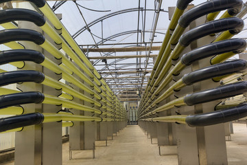 Fotoreactor cerrado para el cultivo de micro algas dentro de un invernadero