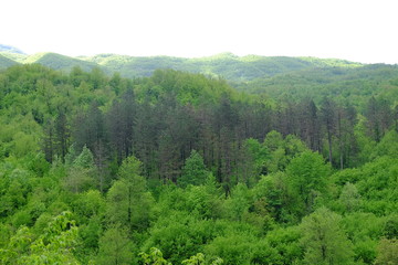 Obraz premium montenegro