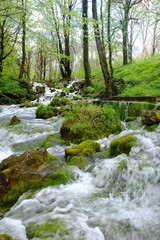 Obraz premium montenegro