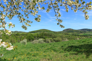 Die Landschaft der Rhön im Frühling