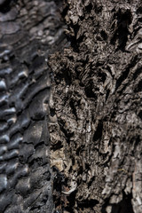 Details with patterned surface texture of burnt wood