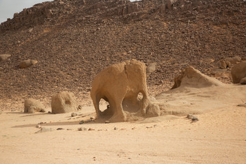 A sandstone looks like an elephant in Tassili N'Ajjer, Sahara, Algeria