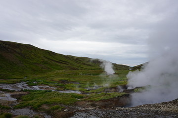 Nature on icland with fantastic landscape in summer