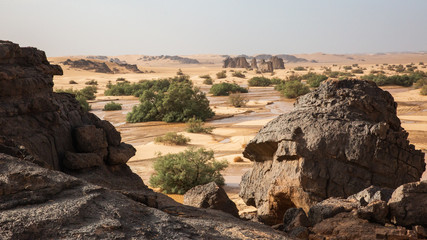 A river in Sahara Desert