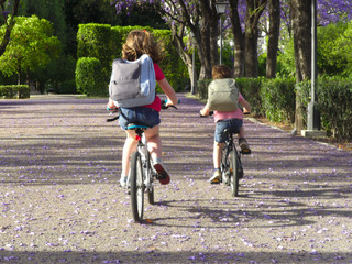 Children on bicycles on their way to the school