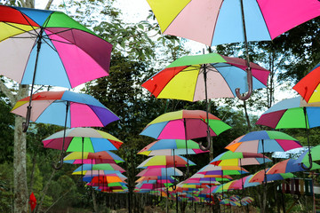 Colorful umbrellas - Borneo Malaysia Asia