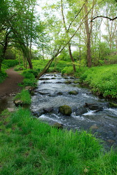 Fluss Nette bei Andernach in Rheinland-Pfalz im Mittelrheintal