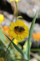 Natureza Portuguesa