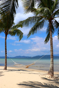 Two palm trees with a hammock on the beach - Gaya Island Malaysia Asia