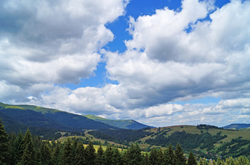 Panoramic view of the Carpathian mountains, green forests and flowering meadows on a sunny summer day