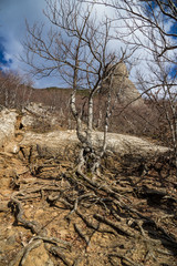 Fototapety na wymiar - Fototapeta24.pl