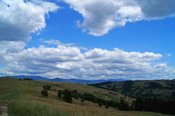 Fototapeta na wymiar Panoramic view of the Carpathian mountains, green forests and flowering meadows on a sunny summer day