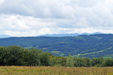 Fototapeta na wymiar Panoramic view of the Carpathian mountains, green forests and flowering meadows on a sunny summer day