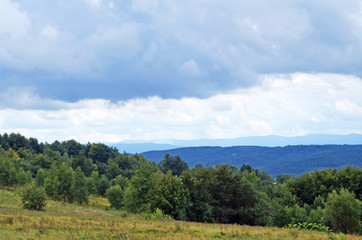 Panoramic view of the Carpathian mountains, green forests and flowering meadows on a sunny summer day