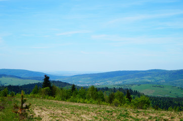 Panoramic view of the Carpathian mountains, green forests and flowering meadows on a sunny summer day