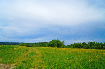 Panoramic view of the Carpathian mountains, green forests and flowering meadows on a sunny summer day