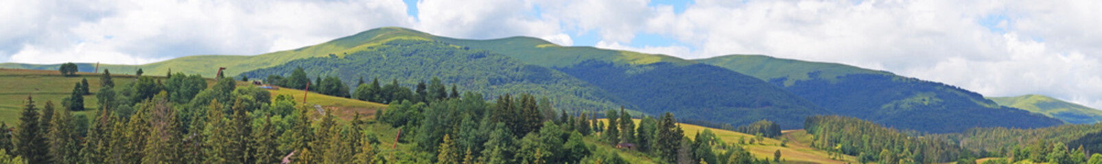 Panoramic view of the Carpathian mountains, green forests and flowering meadows on a sunny summer day
