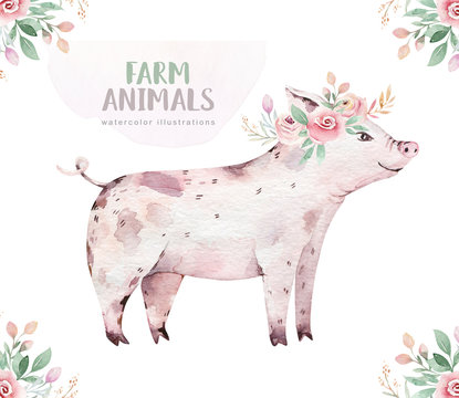 Farms animal isolated set. Cute domestic farm pets watercolor illustration. Pig baby cartoon drawing.