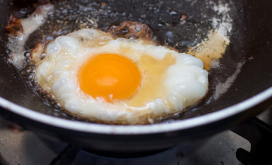 egg fried on pan top view