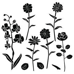 Collection of silhouettes of flowers rose, chamomile, chrysanthemum, orchid, different branches, blossom,  vector, black color, isolated on white background