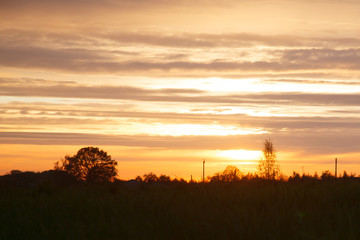 Summer evening landscape with sunset