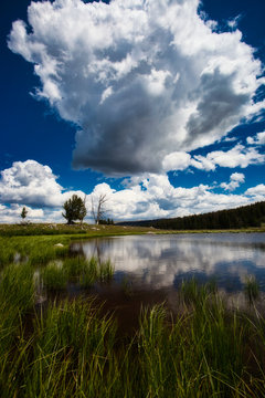 Reflection In Pond In The Wyoming Mountains Near Pinedale, Wyoming