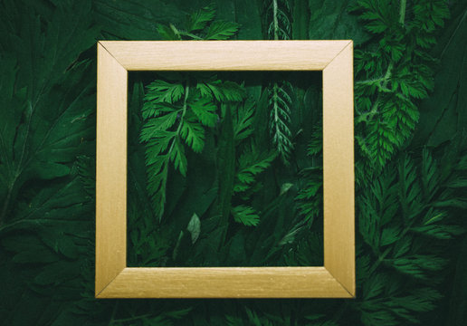 Creative layout made of forest (field) grass with gold wooden frame.  Modern ecological natural concept