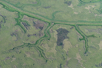 aerial image of wetlands near the Paraná River (Río Paraná) between Campana and Buenos Aires