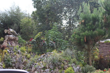 PAISAJE NATURAL