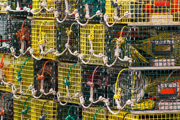 Lobster traps with buoys