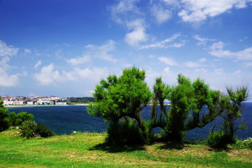 Summer landscape of the Cantabrian Coast in Santander, Spain, Europe