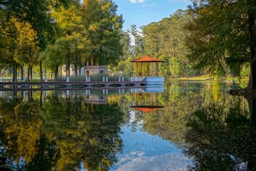 Fototapeta premium Beautiful natural reflection