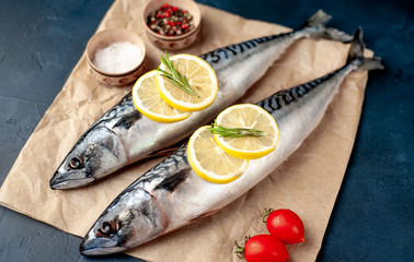 Fresh, raw mackerel with spices, tomatoes, rosemary, on parchment paper on a background of concrete
