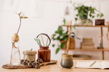 Close up of scandinavian and stylish interior of home space with wooden desk, design and forest accessories, avocado plant, bamboo shelf with plants and  office supplies. Modern home decor. 