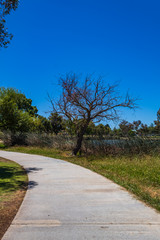Fototapeta na wymiar footpath in the park to walk near lake front
