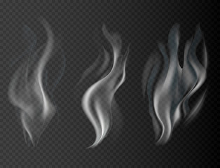 Realistic smoke isolated on transparent background vector illustration.