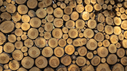 Logs. Log cuts. Stack of logs. Stack of firewood. Logs cuts prepared for fireplace. Woodpile. Wood for fireplace. Wood for winter. Firewood background. 