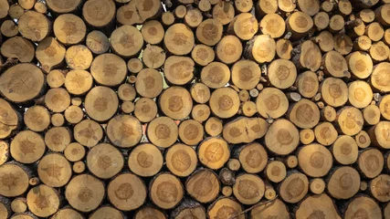 Möbelaufkleber Logs. Log cuts. Stack of logs. Stack of firewood. Logs cuts prepared for fireplace. Woodpile. Wood for fireplace. Wood for winter. Firewood background.  © GenоМ.
