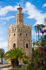Fototapeta na wymiar Torre del Oro in Seville, Spain
