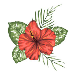 Vector tropical composition of red hibiscus,  monstera and palm leaves isolated on white background. Bright realistic watercolor style exotic design elements.