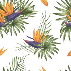 Aluminium Prints Paradise tropical flower Vector seamless pattern of green tropical leaves with strelitzia flowers isolated on white background. Summer or spring repeat tropical backdrop. Trendy exotic jungle ornament.