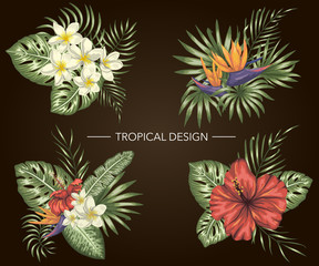 Vector set of tropical compositions with hibiscus,  plumeria,  strelitzia flowers,  monstera and palm leaves on black background. Bright realistic watercolor style exotic design elements.