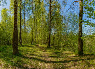 The Sablino nature reserve.