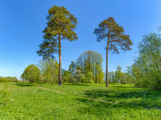 The Sablino nature reserve.