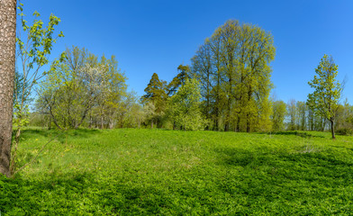 The Sablino nature reserve.