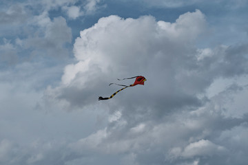 Kite flying in the sky