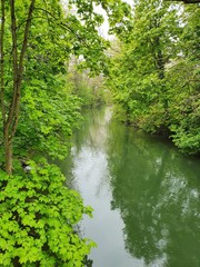 Obraz premium waterfall in the forest