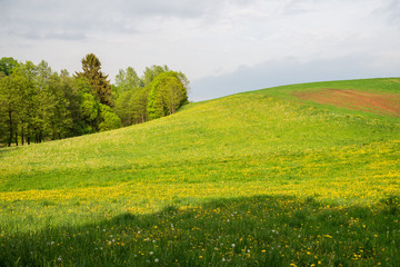 Zielone wzgórza, zalesione pagórki na tle pogodnego nieba © Szymon Gryko