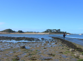 route submersible vers l'île Callot (29)