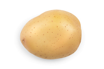 Young potato isolated on white background. Harvest new. Top view. Flat lay